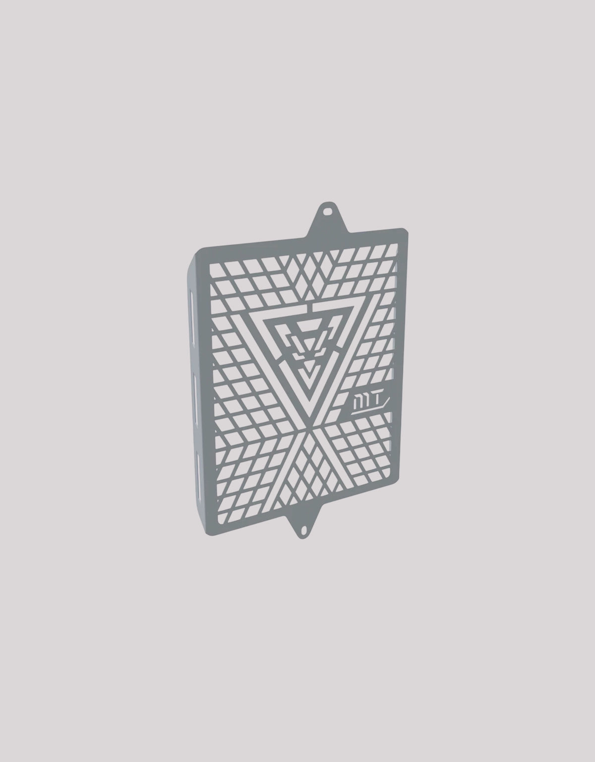 MotoTorque Triumph 400 Radiator Guard SS