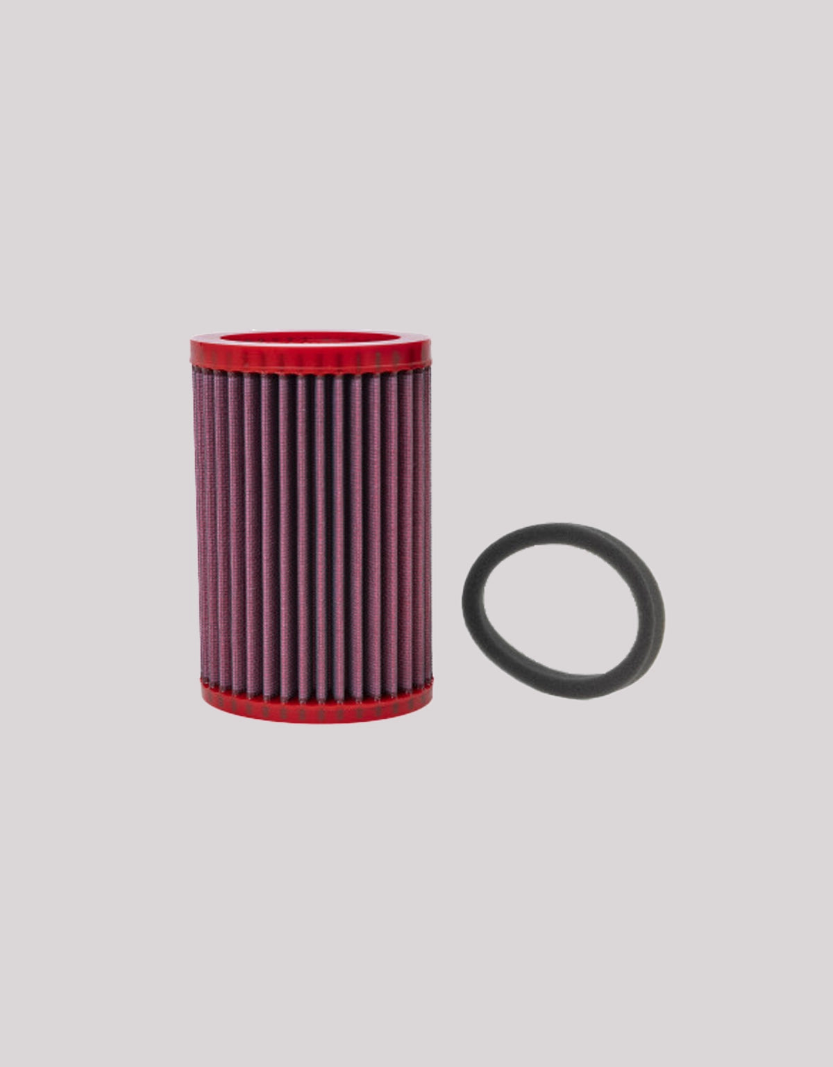 BMC Airfilter Triumph BonnevilleT100 (2001-2015)
