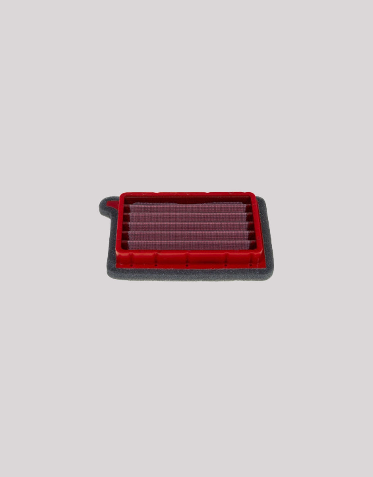 BMC Airfilter Triumph TigerSport660