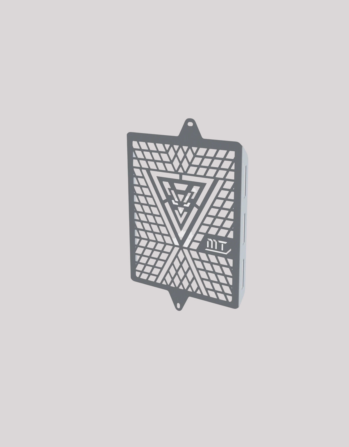 MotoTorque Triumph 400 Radiator Guard SS